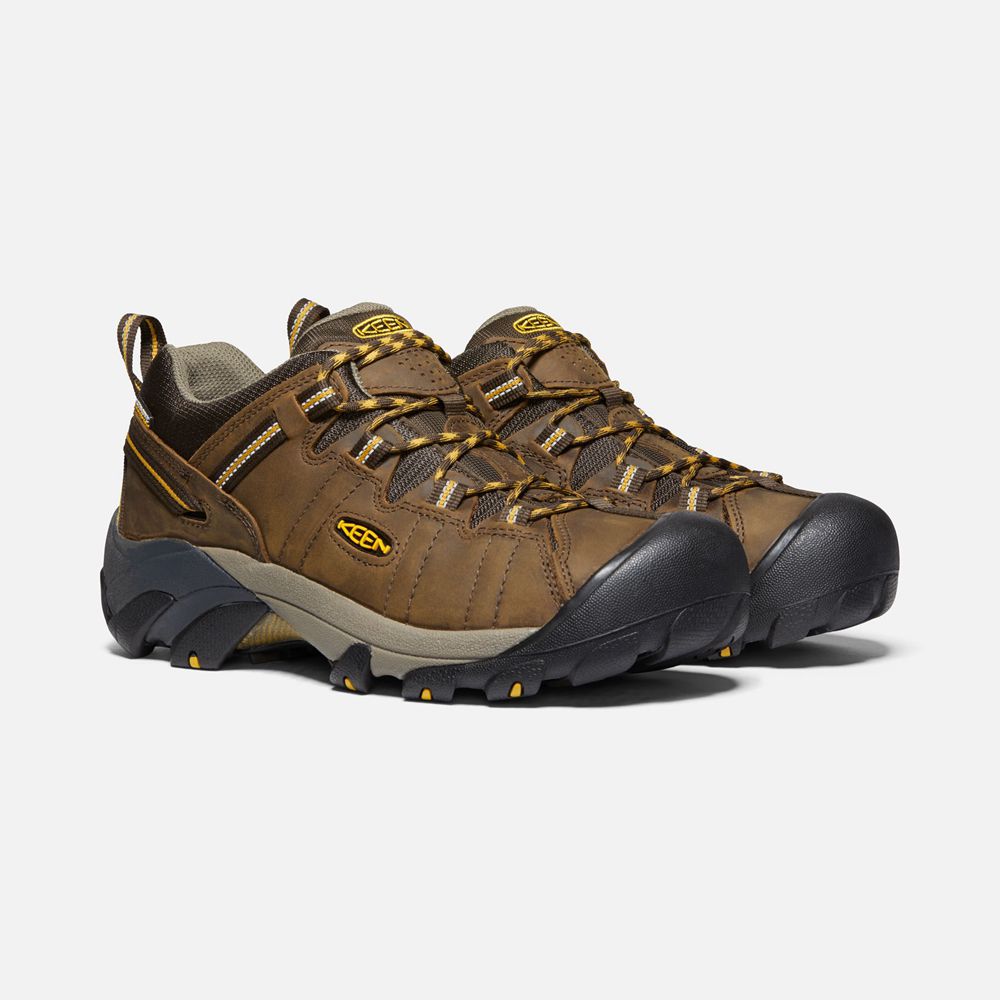 Chaussure de Randonnée Keen Homme Marron | Targhee Ii Waterproof | KRXUA-8732